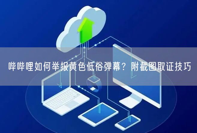 哔哔哩如何举报黄色低俗弹幕？附截图取证技巧